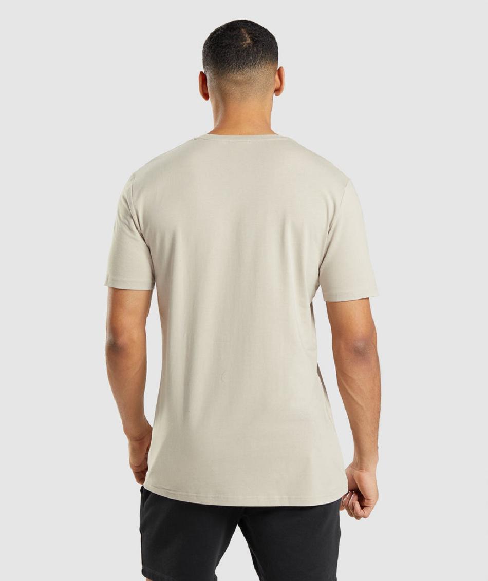 T Shirts Gymshark Essential Hombre Gris | CO 3292VRW